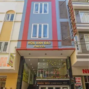 https://hoa-anh-dao-hotel.dananghotels.net